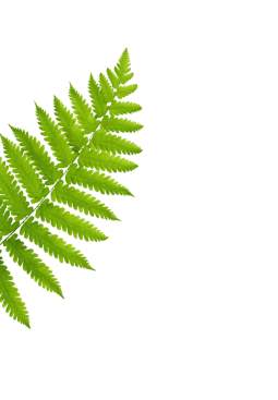 centre de beauté, soins, massage et spa l'avenue à mons