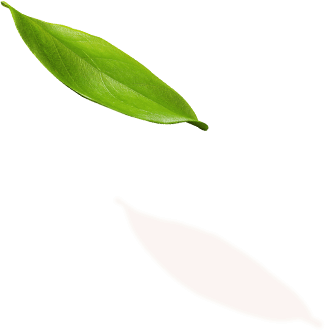 soin du corps massages et spa jacuzzi hammmam à mons l'avenue beauty & spa