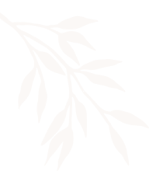 soin du corps massage et spa à mons l'avenue beauty & spa