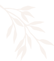 L'avenue centre de beauté et spa à mons propose des massages relaxant pas cher